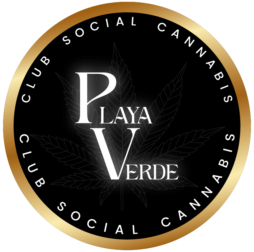 playaverde-logo